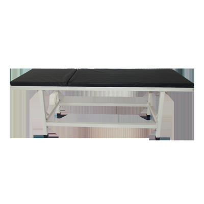 Good price 1.9m Medical Exam Bed Examination Couch Manually Operated ODM online